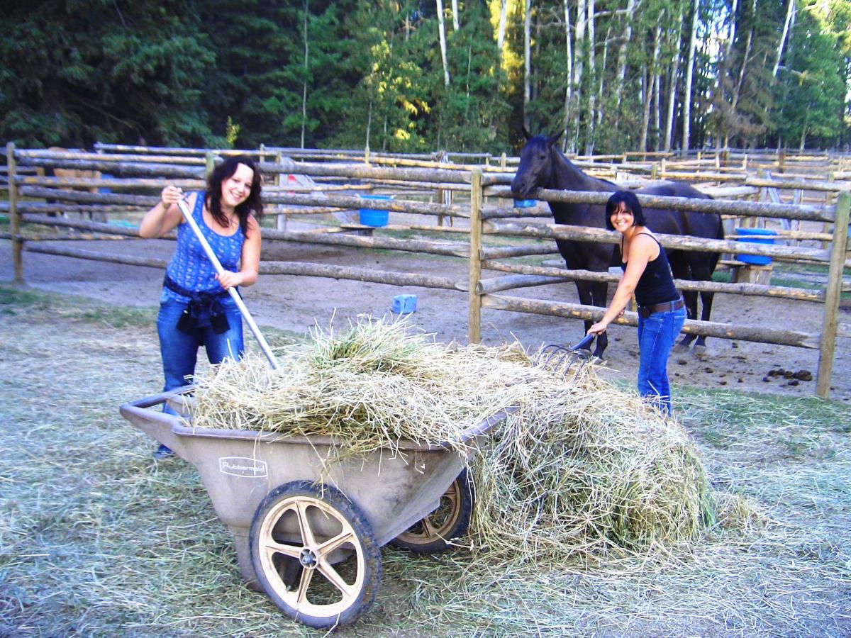 Horse Ranch Canada